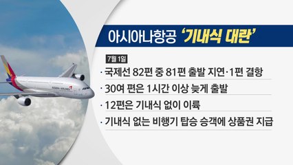 아시아나항공 '기내식 대란'...원인은? / YTN