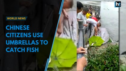 Chinese citizens use umbrellas to catch fish