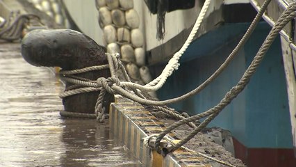 태풍 간접영향권 포항...선박 1,300여 척 대피 / YTN