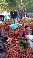 Sujan Azad Parikh - It's a Lychee Traffic