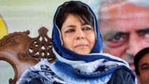 BJP,PDP के बीच Alliance End पर Imran Reza Ansari ने Mehbooba Mufti पर आरोप लगाए | वनइंडिया हिंदी