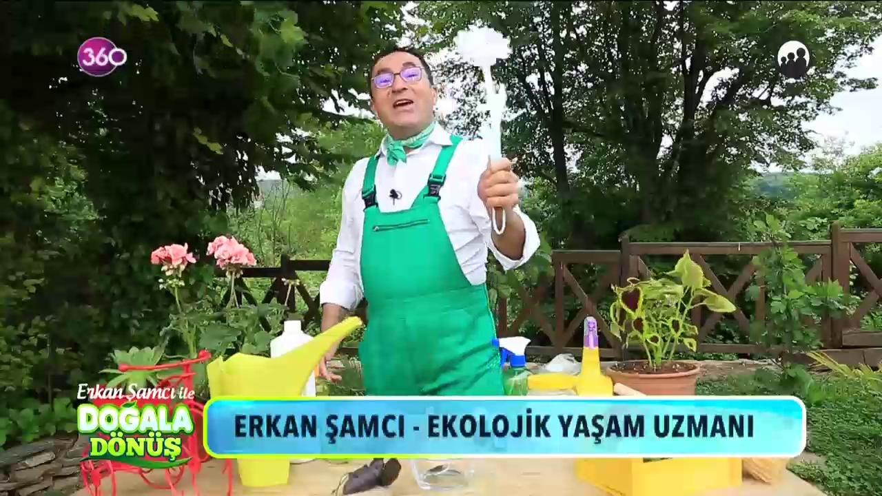 Doğala Dönüş