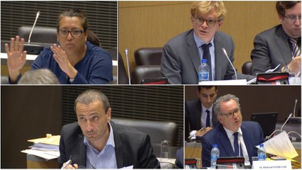Révision constitutionnelle : ce qu'il faut retenir de l'examen en commission