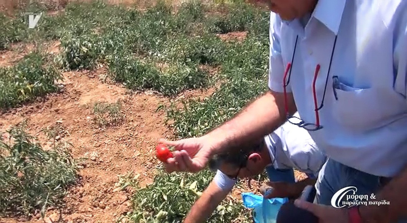 Όμορφη & Παράξενη Πατρίδα_η αγροτική ζωή των Μεστών_300618