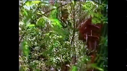 Les Nouvelles Aventures de Robin des Bois S2E4 FRENCH