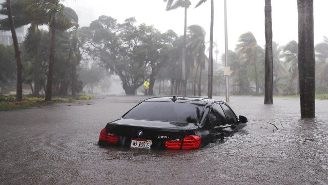 Planting Trees to Fight Flooding