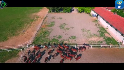 Μίνα Ευαγγέλου - Μαρτύριο Ο Έρωτας (Official Music Video)