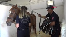 Kayseri'de Hediye Atlarla Atlı Polis
