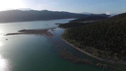 Beyşehir Gölü 4 Mevsim Farklı Kuş Türlerini Ağırlıyor