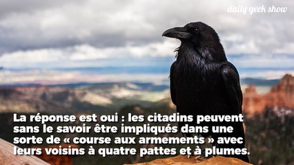 Plus les animaux sont intelligents plus ils deviennent vicieux