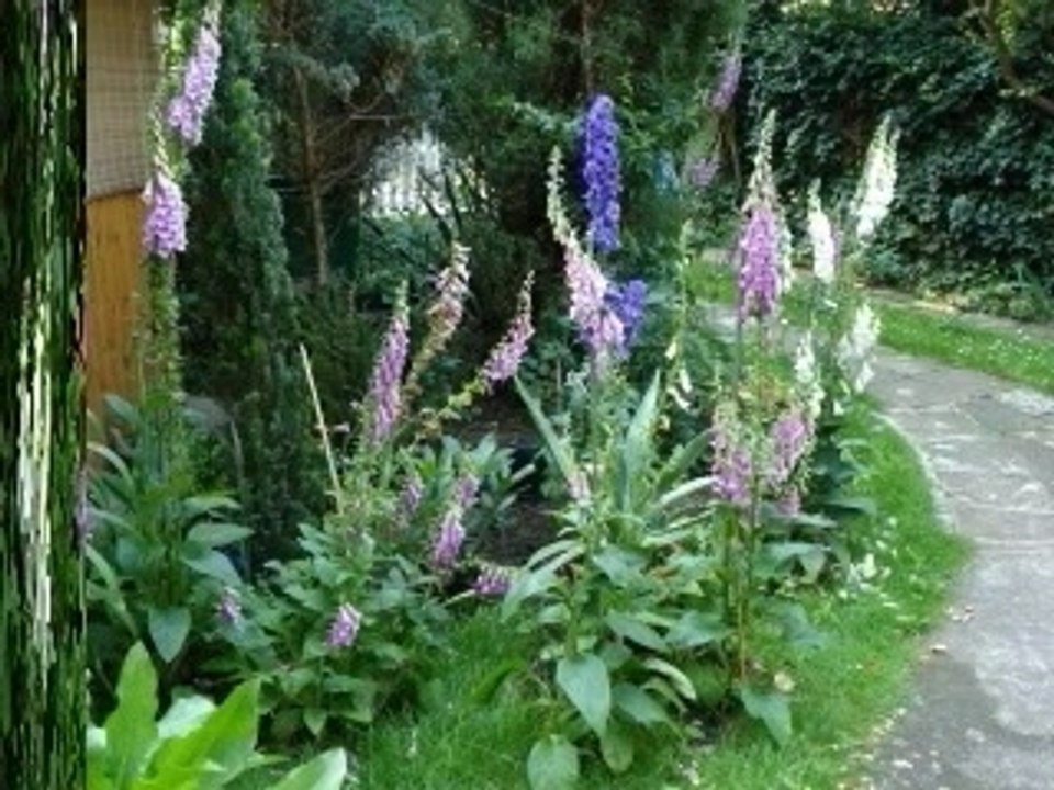 Garten01www_1