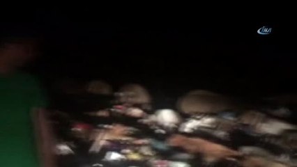 Çocuk Ölümlerine Dikkat Çekmek İçin Ayılara 1 Metre Yaklaştılar