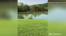 Hilarious dog can't contain excitement, explodes from car and leaps into lake