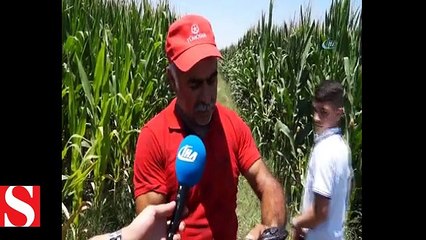 Batman�da etrafı yılanlar bastı