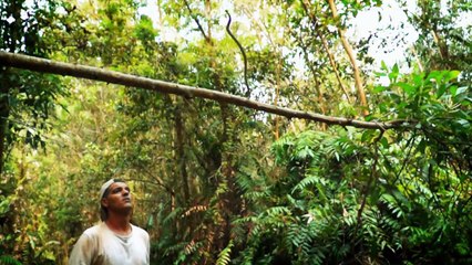 Vahşi Frank Ejderha Macerası 2. Bölüm