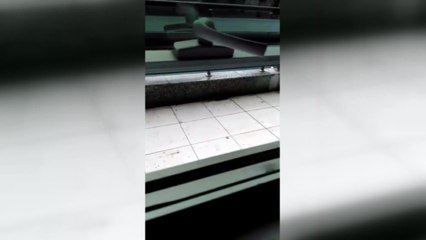 Bu görüntüler Devlet hastanesinde çekildi…