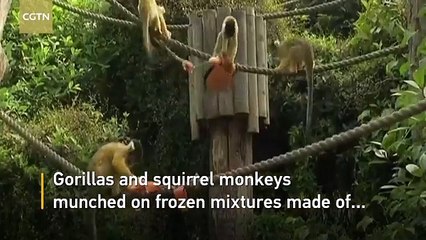 الحر يدفع حديقة لندن لطريقة غير عادية لحماية الحيوانات