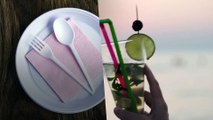 Seattle Bans The Use Of Plastic Straws and Utensils