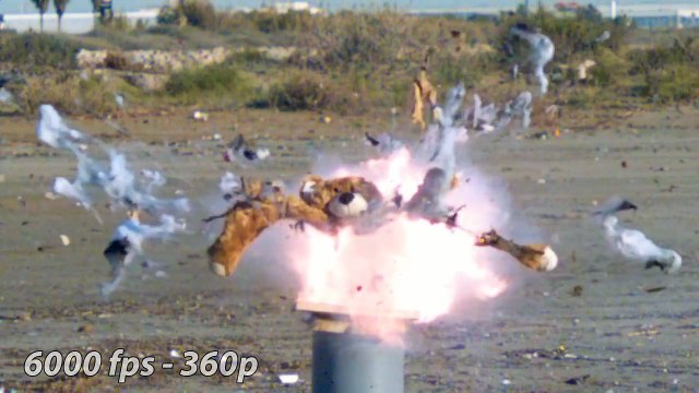 LOOK WHAT HAPPENS WHEN YOU EXPLODE 4 COCA COLA BOTTLES!! - EXPERIMENT AT HOME ( 720 X 1280 )