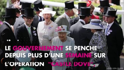 La reine Elizabeth II malade : Le gouvernement britannique se prépare à sa mort