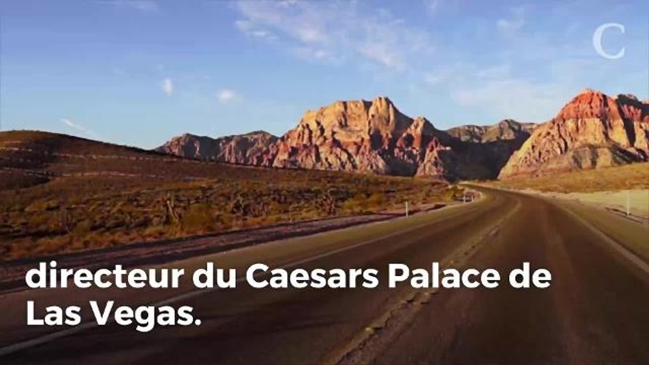 Muriel Robin, Dany Boon, Brigitte Macron, Mimi Mathy : les people à l'anniversaire de Line Renaud