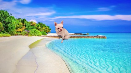 The 10 FASCINATING Marriage Rituals around the WORLD