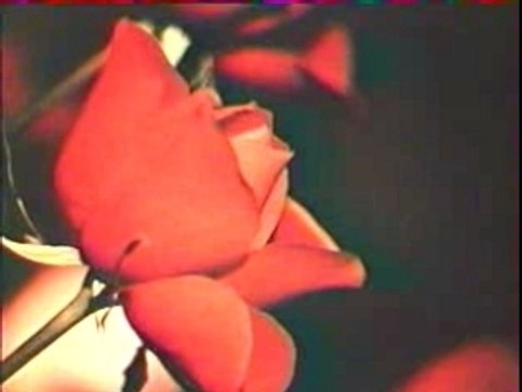 Brigitte Bardot & Sacha Distel - La Bises Aux Hippies