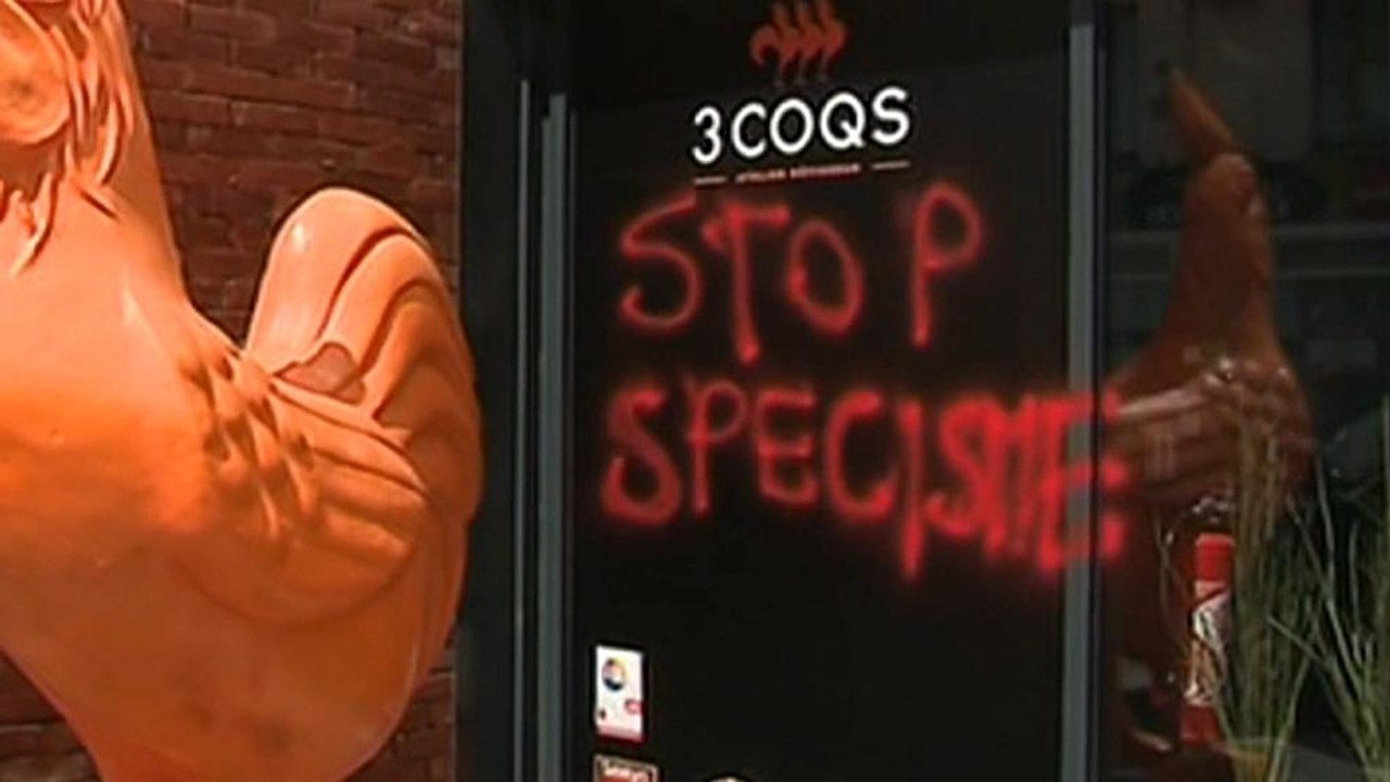 Militante Veganer gegen Metzger