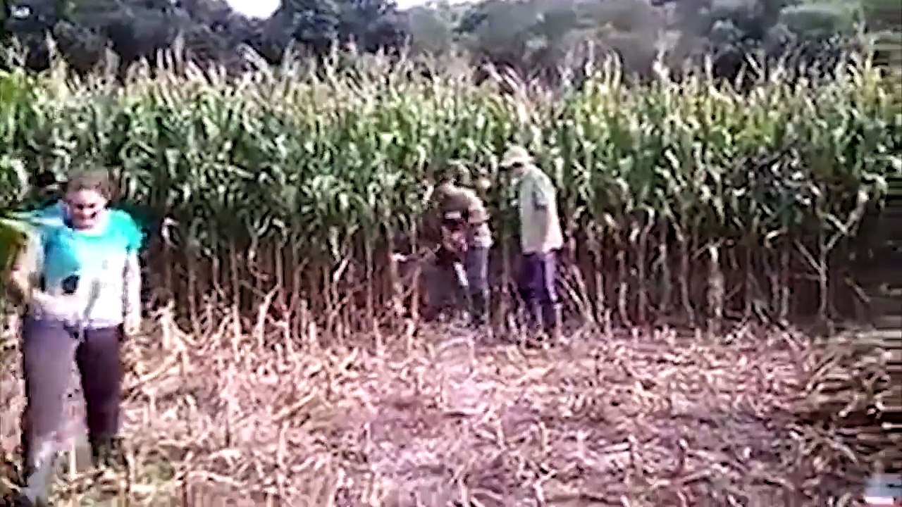 Damn!...Funny Stupid Work Safety FAILS and WIN