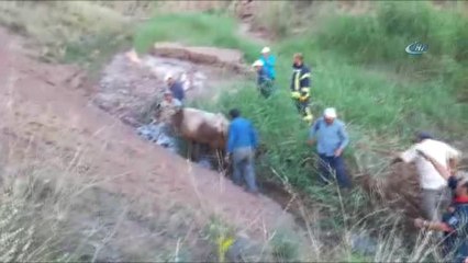 Çamura Saplanan İnekleri İtfaiye Kurtardı