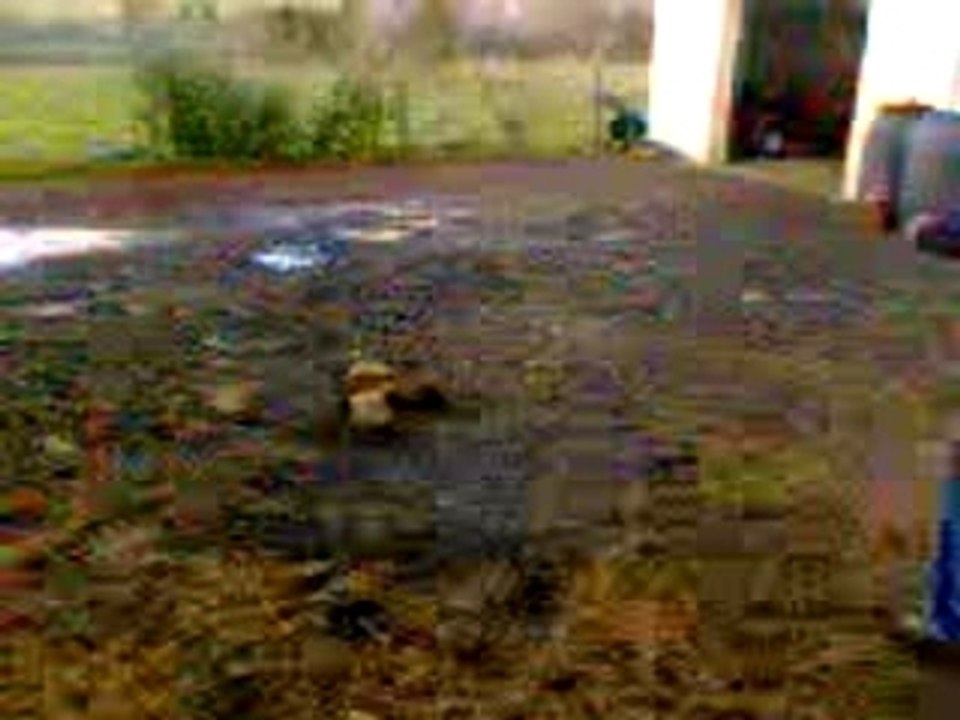 coktail molotof avec clément léo et toine