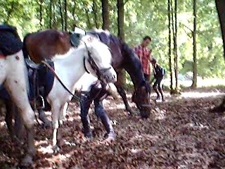 Souvenir de Val Joly 2007