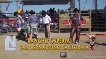 Super Jaripeo Con Toros Salvajes Y Los Mejores Jinetes La Mejor Ganaderia De Mexico