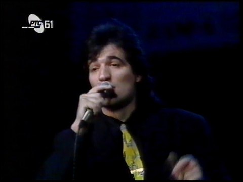 Slavisa Vujic - O ljubavi moja koliko te volim (Folk Maraton 92)