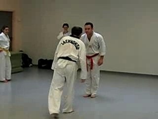 Cours de Taekwondo