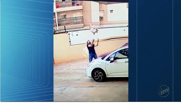 Brasileiro corajoso salva cadela em queda do nono andar em Ribeirão Preto, São Paulo
