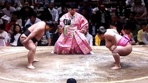 千代ノ皇 vs 英乃海 2018年大相撲夏場所9日目 20180521