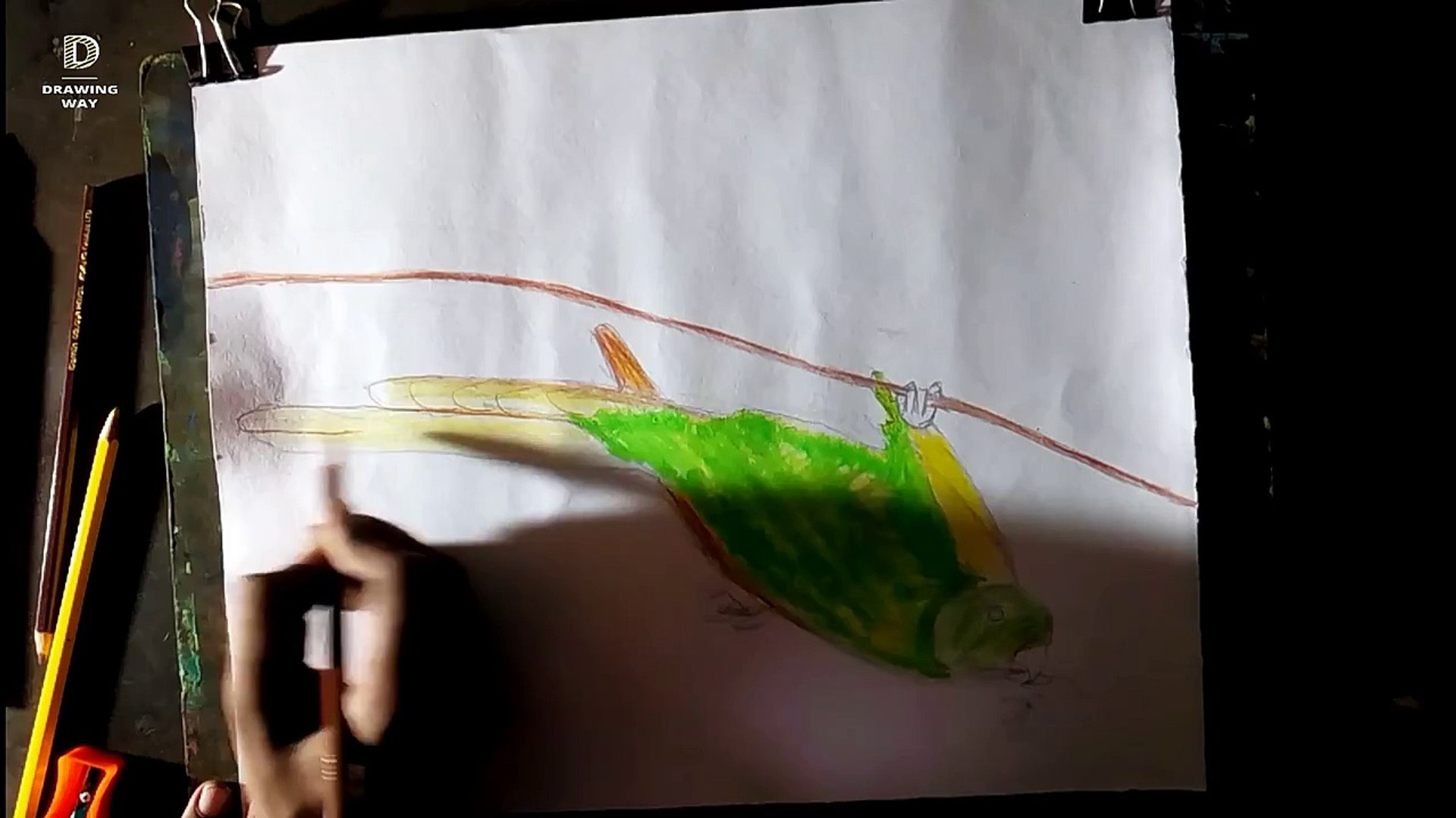 How to draw Flying birds parakeet in Hindi with Pastal colour drawing ( 34  )