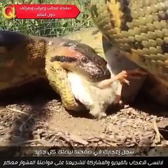 धुर्मुसले हरीबंश कै अगाडी नक्कल गर्दै हसाए - Dhurmus Nepali Comedy Video