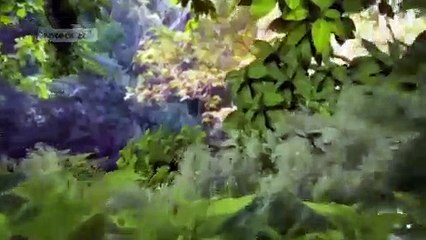 Coração Indomável - Capítulo 39