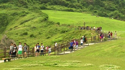 제주도, 관광객에 환경기여금 부과 추진...2020년 시행 예정 / YTN