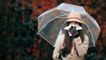 Monsoon: बारिश में पड़ जाते हैं बीमार तो अपनाएं ये घरेलु टिप्स, Remedies for Monsoon Flu | Boldsky