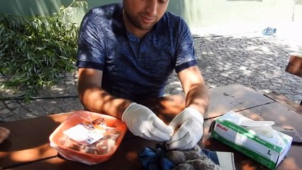 Yavru Kukumav kuşlarına Özel Harekatçı şefkati