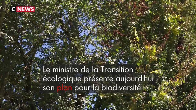 Nicolas Hulot au secours de la nature