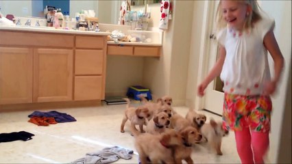 The 9 Puppy Chase - Tackle || Family Fun Pack Puppies
