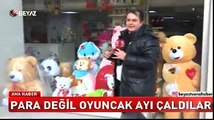 Oyuncak ayı hırsızları kamerada