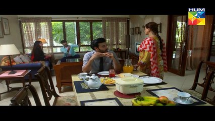 Mah e Tamaam Episode 1 - 29 January 2018