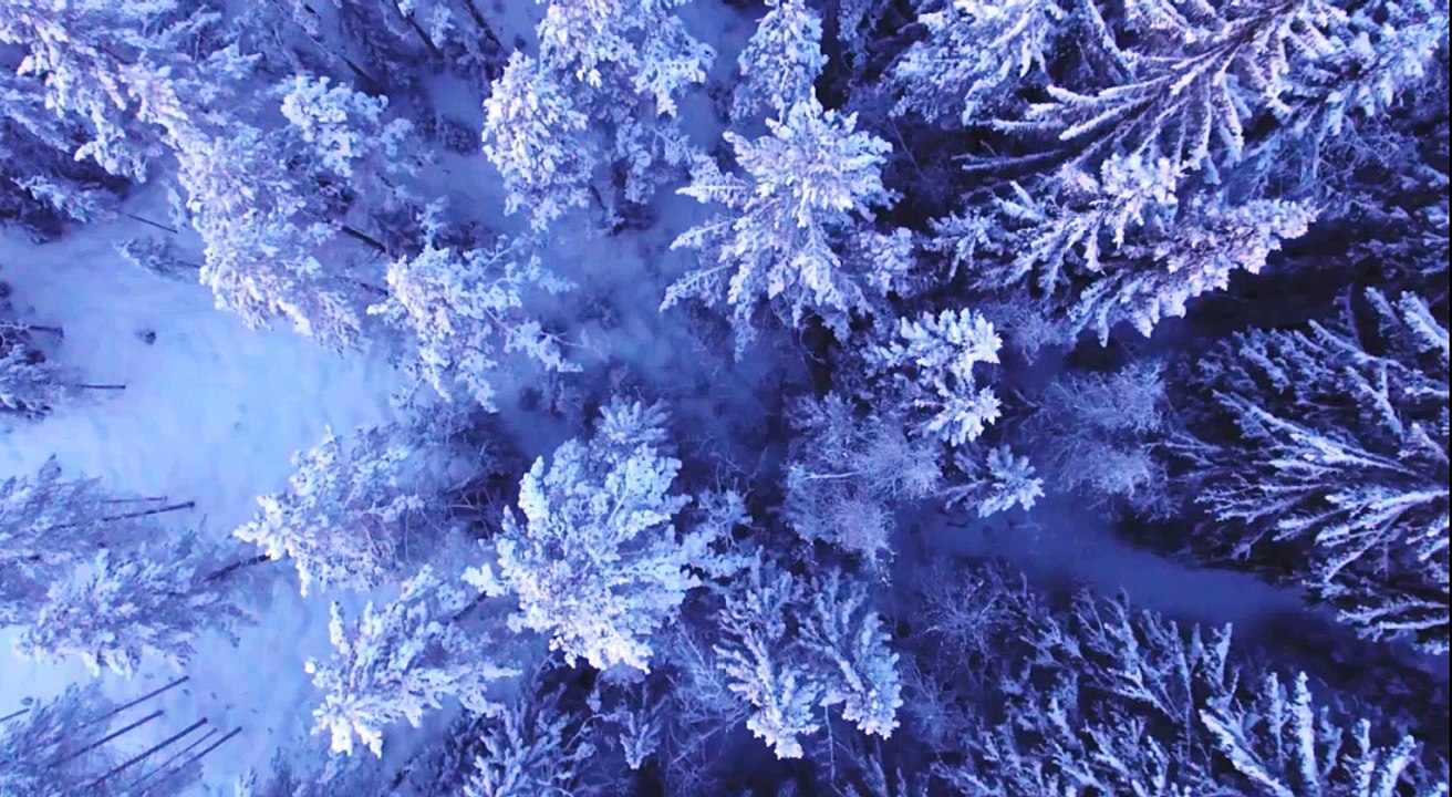Tyne and Wear Evening Weather 29/01/18