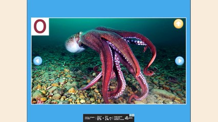 Музыкальная АЗБУКА для малышей от 2 до 5 лет. Обучающее видео.