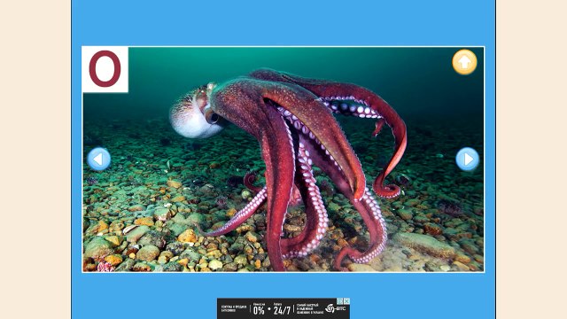 Музыкальная АЗБУКА для малышей от 2 до 5 лет. Обучающее видео.